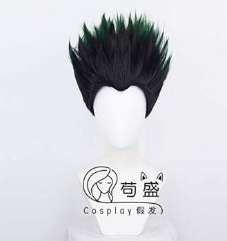 Amazon.co.jp: Hunter x Hunter Gon Freaks Cosplay Wig : Hobbies